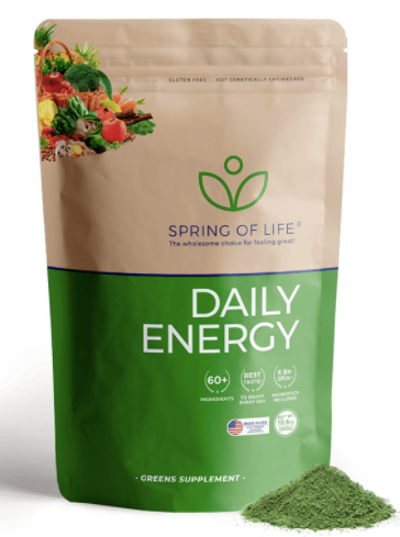 Spring of Life Daily Energy Reviews