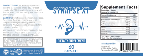 Synapse XT Review