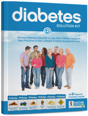 Diabetes Solution Kit Review