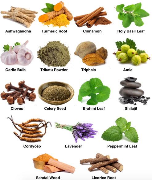 CHAKRA Ayurvedic Formula Ingredient