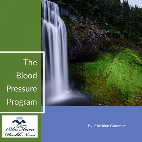 The Blood Pressure Program Review