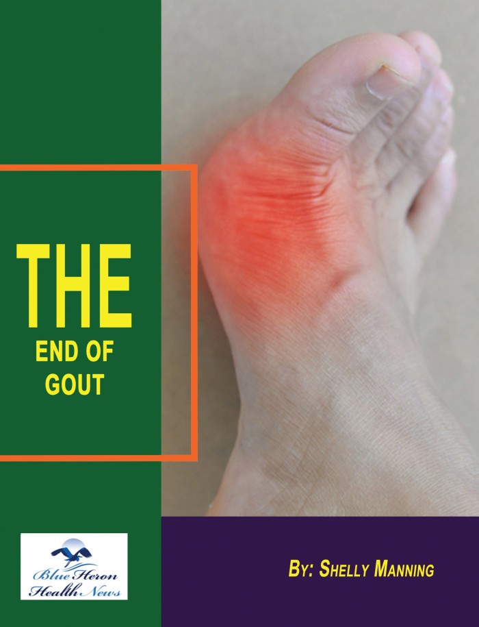 The End Of GOUT Program Review