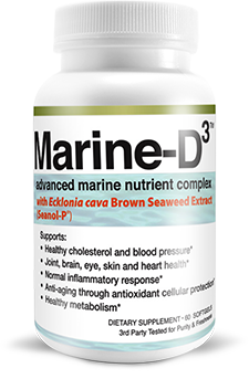 Marine-D3 Review