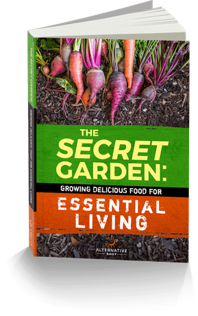 The Secret Garden Seed Vault Bonus