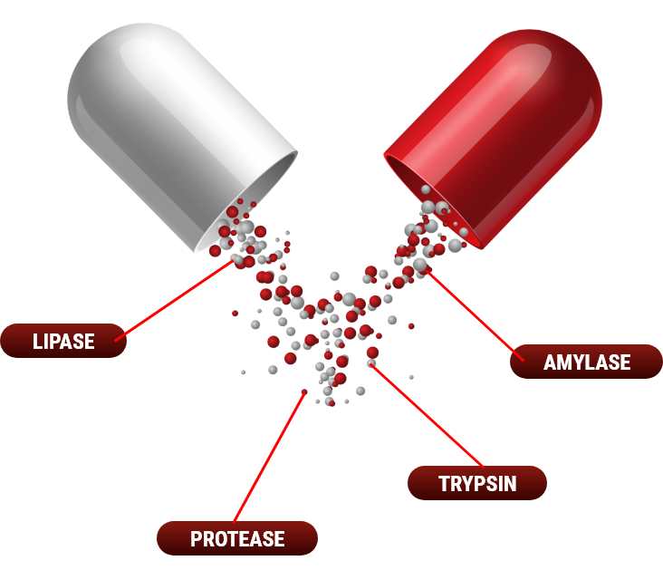 Blood Sugar Support Plus Supplement Reviews