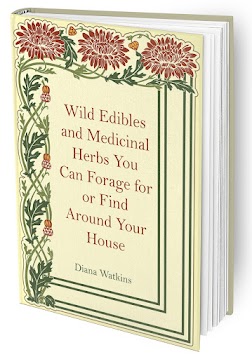 The Home Doctor Practical Medicine for Every Household eBook